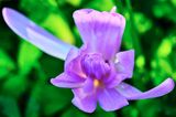 DSCF1673.jpg