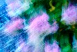 DSCF1723.jpg