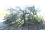 DSC05609.jpeg
