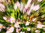DSCF1750.jpg