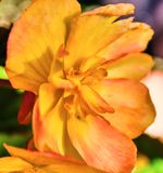 DSCF1776.jpg