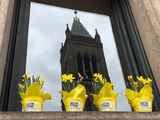 Since the bombings, these daffodil arrangement are placed all over Copley Square (2019)