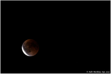 _8504925 -- 800w - web.png