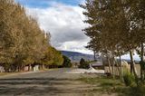 Keeler tree-lined street