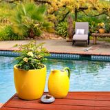 Pool in vineyard