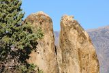 Lone Pine twin split rocks