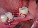PC020029.JPG