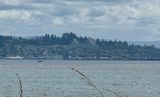 Long bridge!
