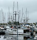 IMG_5904.jpeg