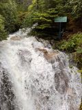 IMG_1572 2.jpeg
