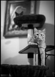 Eliot_024.jpg