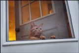 OneDay_012.jpg