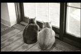 BacktoBnW_006.jpg