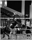 DSC_2239_DxO-1.jpg