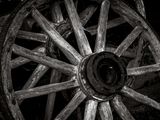 Z62_1048-NEF_DxO_PRIME-Edit_DxO.jpg
