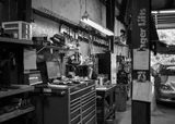 L1003586.jpg