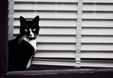 Z62_3209_DxO.jpeg