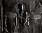 Interior 2-20230901-001.jpg