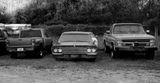 50mmF2APO-20231206-001.jpg