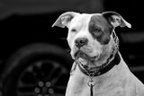 750_6091_DxO.jpg