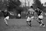 750_6206_DxO.jpg