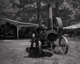 Z62_6448_DxO copy-sharpened.jpeg