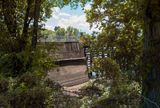 L1004040.jpg