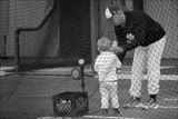 BattingCage.jpg