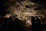 DSC_5956R.jpg
