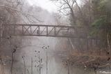 Walking in the Mist I