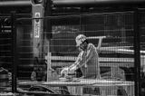 Working on the Crosstown Lrt