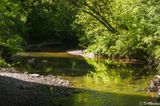 Sunlight on the East Don River