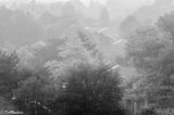 From the fires in the north