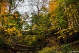Bridge Across the Stream