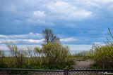Dog Run by the Lake