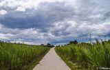 Through the Reeds and under the Clouds