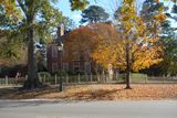 DSC02919.JPG