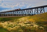 DSC_4434trj2.jpg