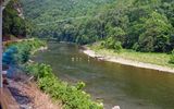 South Branch Potomac River