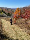 Bald Knob Trail