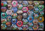 Flipping Our Lids Puzzle