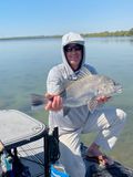 New Smyrna Black Drum