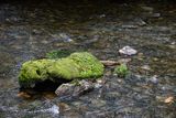 _Y5R1354web 1.jpg