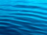 IMG_8410web.jpg