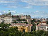 IMG_6137web.jpg