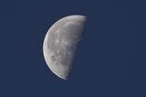 Early morning last quarter Moon 12-May-2023