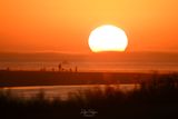 Tonights sunset at dog beach, OB