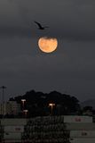 Beaver full moon peaking through the clouds over the Dole company shipping containers