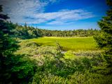 Cadillac Mountain