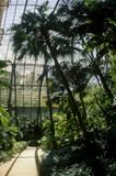Umbracle